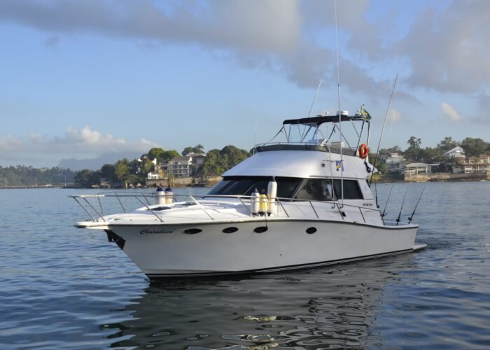 Barco Lancha Riostar 42 em Vitória