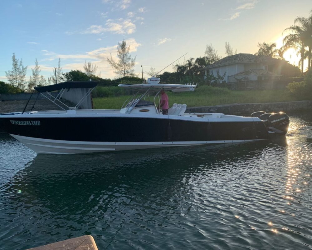Lancha Raptor 375