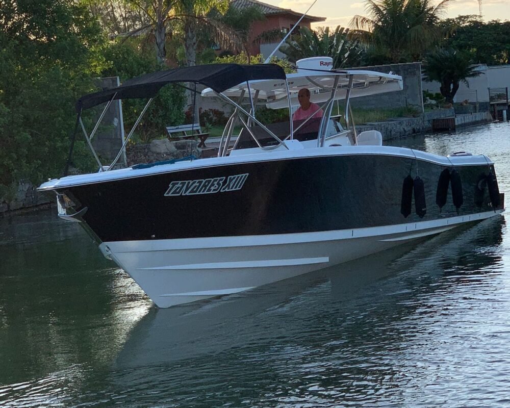 Lancha Raptor 375