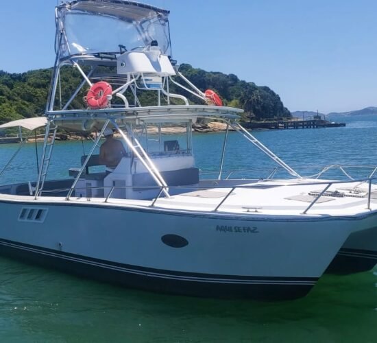 Lancha Cat Mares 370 Aluguel e passeio de barco e lancha em Búzios