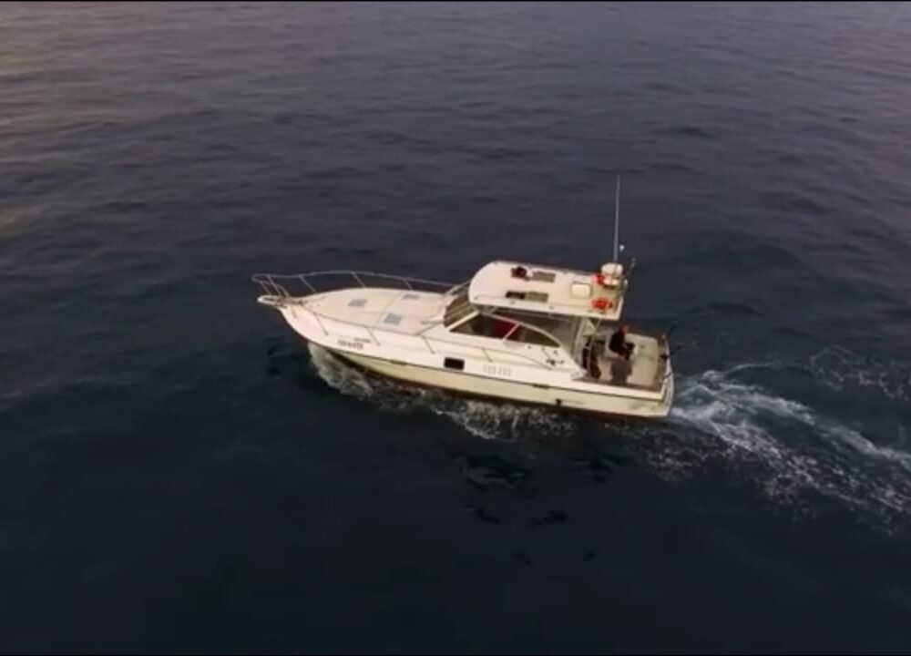 Mares 38