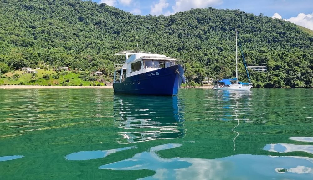 Trawler 50