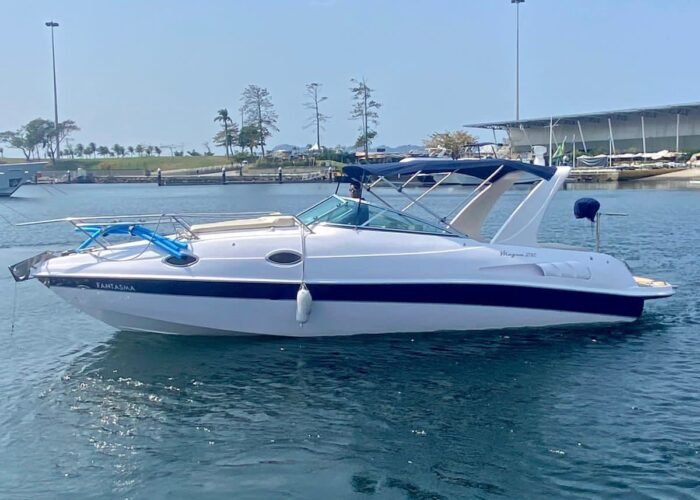 Lancha Magna 28 pés - Fantasma - Barco em Rio de Janeiro e Niterói (1)