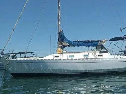 Veleiro de 36 pés branco atracado em marina, com vista lateral do casco e mastro