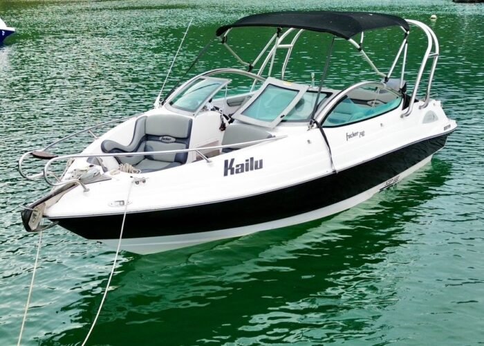 Lancha Focker 240 fundeada em baía calma, com bimini preto, torre de inox e morro coberto de mata ao fundo
