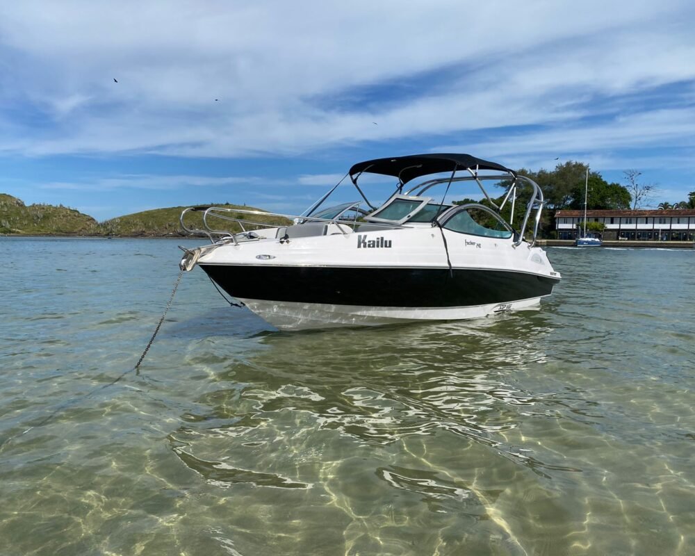 Lancha Focker 240