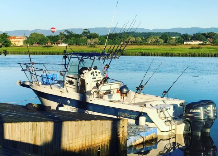 Lancha Wellcraft 275 atracada em píer de madeira, com varas de pesca nos suportes e dois motores de popa