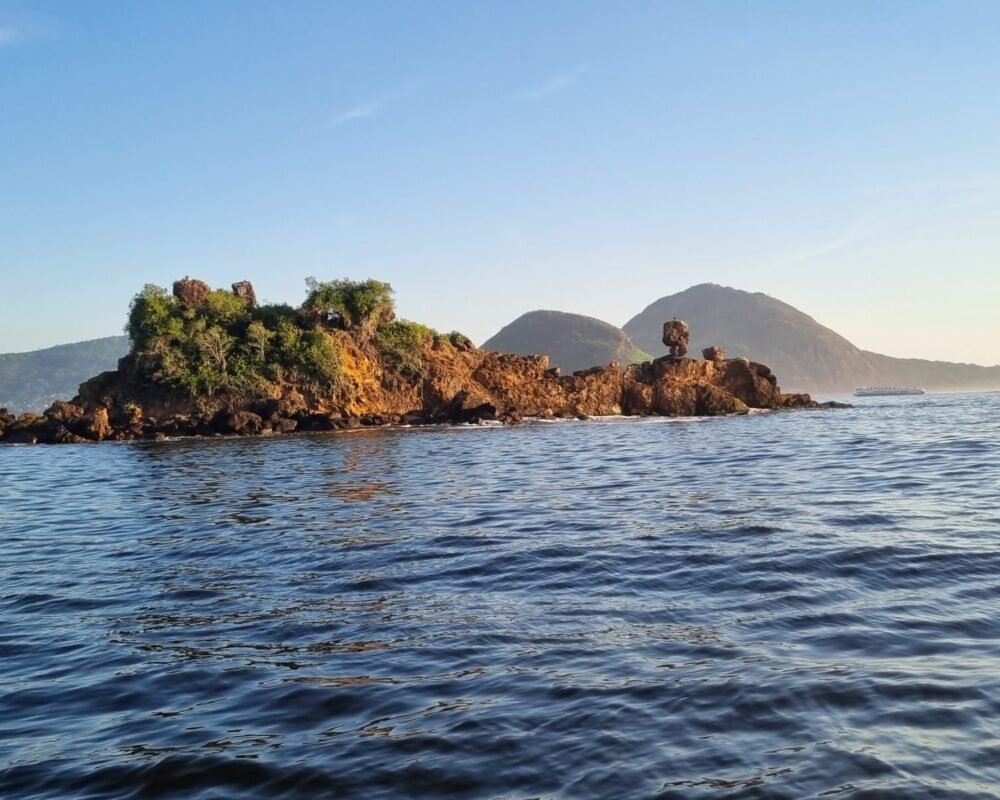 Formação rochosa das Ilhas Cagarras, com vegetação exuberante e águas cristalinas ao redor.