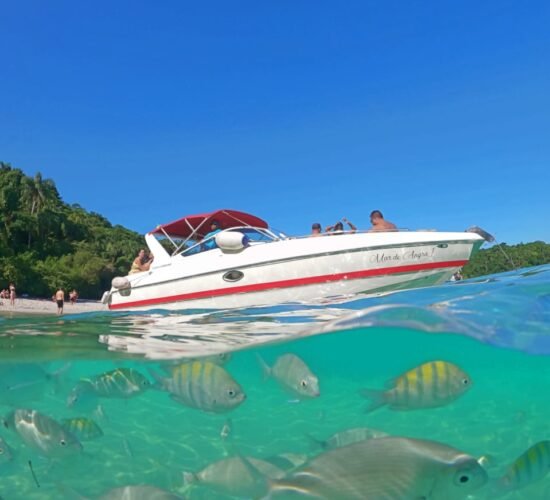 Lancha Futura 28 em um cenário paradisíaco de Angra dos Reis, com peixes tropicais visíveis na água cristalina.