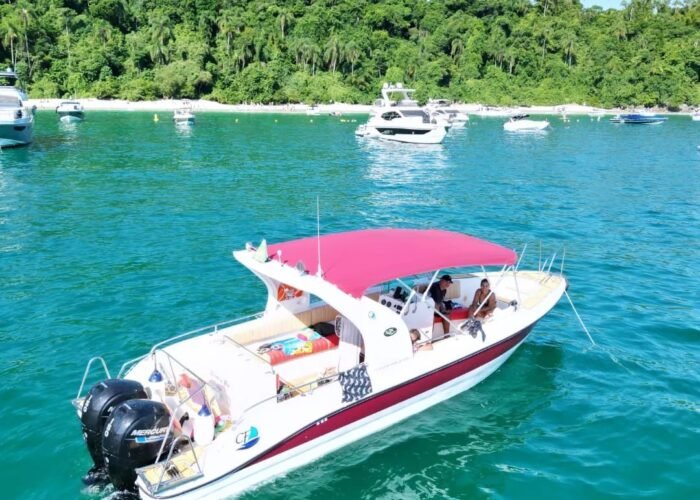 Lancha CF 29 com cobertura vermelha navegando entre outras embarcações